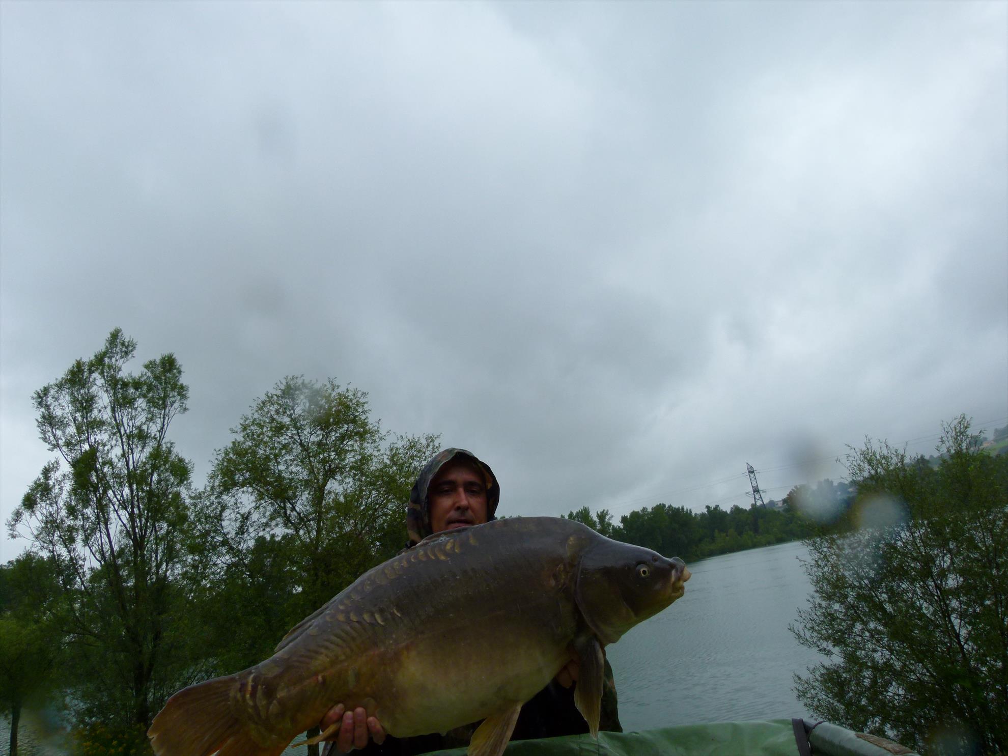 regiune Rhône-Alpes 29 iulie 2014 - p1040146.JPG